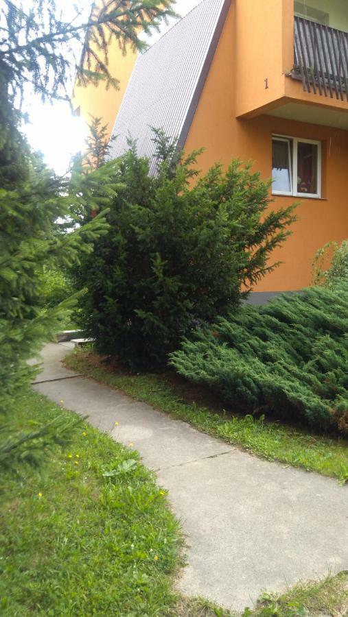 Apartament U Janusza Новий Тарг Екстер'єр фото